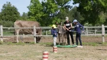 Mercredis de mai 2018