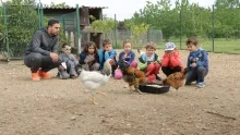 Mercredis de mai 2017