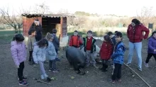 Mercredis de janvier 2017
