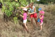 Vacances d'été - 27 au 31 août 2018