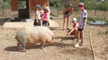 Vacances d'été - 7 au 11 août 2023