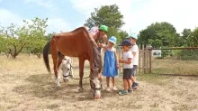 Vacances d'été - 17 au 21 juillet 2023