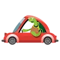 Tortue en voiture