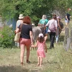 un groupe de dos se balade sur le domaine avec un âne