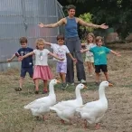 Un groupe d'enfants et leur animatrice ouvent les bras derrière trois oies