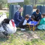 Un groupe d'enfants et leurs animateurs sont près des composteurs avec un dindon en rpemier plan