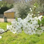 Mercredis de mars 2019