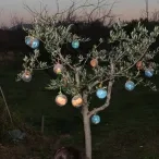 Vacances de Noël - 19 au 23 décembre 2016