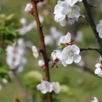 Mercredis de mars 2016