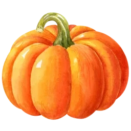 Illustration d'une courge musquée de Provence