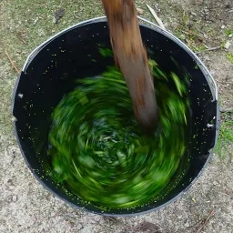 Gros plan sur l'intérieur d'un sceau remplit de feuilles coupées et d'eau, mélangé avec un bâton.