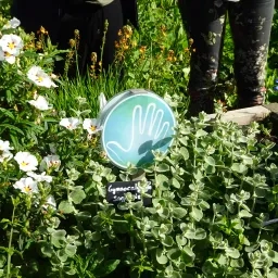 Un carré potager avec des plantes de différentes textures et un panneau avec une main