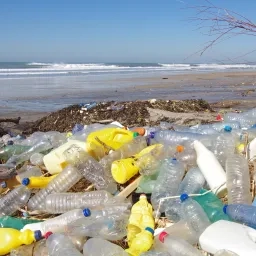 Photo d'un tas de déchets plastique sur une plage avec la mer en second plan