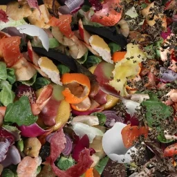 Photo de biodéchets