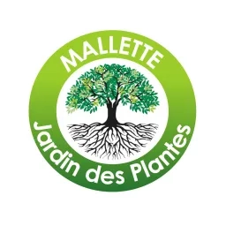 Illustration d'un arbre avec beaucoup de feuilles vertes et de longues racines